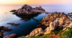 바다 위 303m 출렁다리!...1만 5천 그루 솔숲을 품은 가을 해안 트레킹의 성지 < 국내 여행 < 기사본문 - 여행톡톡 바다 위 303m 출렁다리!...... 