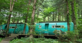 아이돌이 반한 그 숲!...순백의 자작나무와 인생 사진 스팟 < 국내 여행 < 기사본문 - 여행톡톡 아이돌이 반한 그 숲!...순백의 자작나무와 인생... 