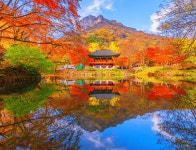 발걸음마다 가을이 물든다!....단풍과 감성 가득한 10월 국내 가을 트레킹 코스 BEST 4 추천 < 국내 여행 < 기사본문 - 여행톡톡 발걸음마다... 