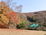 바쁜 일상 잠시 멈추고 떠나자!...조용한 힐링 원하는 당신을 위한 진천 가볼만한 곳 BEST 4 추천 < 국내 여행 < 기사본문 - 여행톡톡 바쁜... 