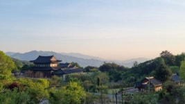 구름 위에서 즐기는 눈 호강 치유 밥상 < 국내 여행 < 기사본문... “밥그릇 안에 꽃이 활짝 피었어요!”...구름 위에서 즐기는 눈 호강 치유 밥상