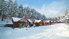 해발 700m 고원에서 마주하는 겨울 숲 < 국내 여행 < 기사본문... 숲이 선사하는 비현실적인 설경!”...해발 700m 고원에서 마주하는 겨울 숲