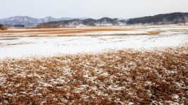 “백색 평원 위로 내려앉은 붉은 낙조!”...얼어붙은 호수 위 보행 데크와 겨울 감성 < 국내 여행 < 기사본문 - 여행톡톡 “백색 평원 위로 내려앉은... 