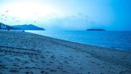 겨울바람 막아주는 아늑한 숲길이 있어요... 울창한 송림과 낙조가 어우러진 해변 < 국내 여행 < 기사본문 - 여행톡톡 겨울바람 막아주는 아늑한... 