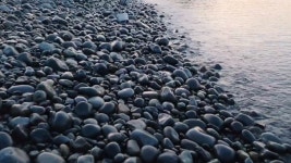 “자갈 구르는 소리에 귀가 녹아요!”... 몽돌과 상록수림이 만나는 힐링 명소 < 국내 여행 < 기사본문 - 여행톡톡 “자갈 구르는 소리에 귀가... 