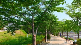 완벽한 주말 산책을 꿈꾼다면?...영천 시민 최애 물멍 스팟 공개... 여행톡톡 완벽한 주말 산책을 꿈꾼다면?...영천 시민 최애 물멍 스팟 공개