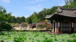 벚꽃보다 먼저 반겨주는 매화 향기... 선교장 둘레길에서 즐기는 3월의... 먼저 반겨주는 매화 향기... 선교장 둘레길에서 즐기는 3월의 삼림욕