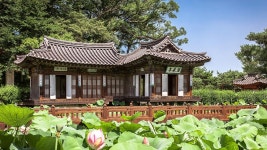 벚꽃보다 먼저 반겨주는 매화 향기... 선교장 둘레길에서 즐기는 3월의... 먼저 반겨주는 매화 향기... 선교장 둘레길에서 즐기는 3월의 삼림욕