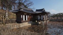 벚꽃보다 먼저 반겨주는 매화 향기... 선교장 둘레길에서 즐기는 3월의... 먼저 반겨주는 매화 향기... 선교장 둘레길에서 즐기는 3월의 삼림욕