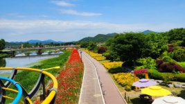 입장료 0원으로 누리는 강변 사치 ...조형미 넘치는 용작교와 황룡강의... 0원으로 누리는 강변 사치 ...조형미 넘치는 용작교와 황룡강의 조화