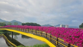 입장료 0원으로 누리는 강변 사치 ...조형미 넘치는 용작교와 황룡강의... 0원으로 누리는 강변 사치 ...조형미 넘치는 용작교와 황룡강의 조화