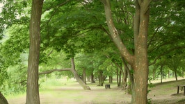 조용한 숲길과 물길의 만남… 직장인들 주말에 마음 식히러 가는 저수지 < 국내 여행 < 기사본문 - 여행톡톡 조용한 숲길과 물길의 만남... 