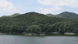 조용한 숲길과 물길의 만남… 직장인들 주말에 마음 식히러 가는 저수지 < 국내 여행 < 기사본문 - 여행톡톡 조용한 숲길과 물길의 만남... 