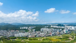 밤 11시까지 은하수가 쏟아진다고?… 커플들 8월에 몰리는 4km... 11시까지 은하수가 쏟아진다고?… 커플들 8월에 몰리는 4km 숲길의 역대급... 