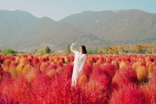 경상남도, 美 < Gallery < IMAGE < 기사본문 - 트래비 매거진 경상남도, 美