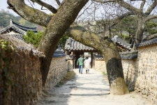 Gyeongnam < S.KOREA < 기사목록 - 트래비 매거진 트래비 매거진