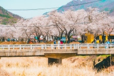 전체 < 기사목록 - 트래비 매거진 트래비 매거진