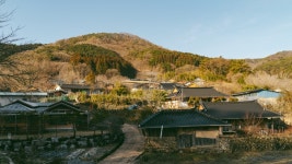 자연과 함께 하는 장성 투어, 여행지 & 카페 5 < Jeonnam < S.KOREA < 기사본문 - 트래비 매거진 자연과 함께 하는 장성 투어, 여행지 & 카페 5