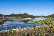 지금이 최적기! 하의도 겨울 캠핑 < S.KOREA < 기사본문 - 트래비 매거진 지금이 최적기! 하의도 겨울 캠핑