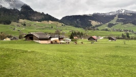유럽이 처음인 나의 엄마 ‘영숙씨의 인생여행 융프라우... 트래비 매거진 유럽이 처음인 나의 엄마 ‘영숙씨의 인생여행 융프라우