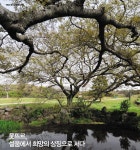 제주-웃뜨르, 설움에서 희망의 상징으로 서다 < Jeju < S.KOREA < 기사본문 - 트래비 매거진 제주-웃뜨르, 설움에서 희망의 상징으로 서다