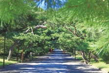 충남, 가이드북 너머 홀로 버스여행 < Chungnam < S.KOREA < 기사본문 - 트래비 매거진 충남, 가이드북 너머 홀로 버스여행