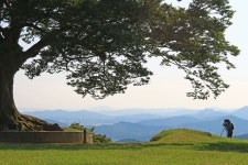 충남, 가이드북 너머 홀로 버스여행 < Chungnam < S.KOREA < 기사본문 - 트래비 매거진 충남, 가이드북 너머 홀로 버스여행