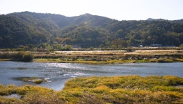 토박이도 몰랐던 광주, 한발 더 걸으니 보이는구나! < Jeonnam < S.KOREA < 기사본문 - 트래비 매거진 토박이도 몰랐던 광주... 