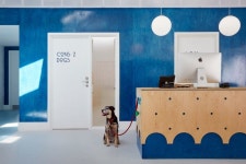 Playful Animal Hospitals : Animal Hospital Design