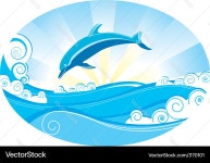 Marine Dolphin (370101) – Royalty-Free Vector | VectorStock