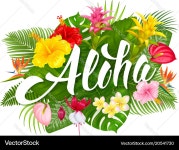 Aloha Tropical Lettering & Flowers Royalty Free Vector Aloha Tropical Lettering & Flowers Vector Image on VectorStock