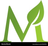 M Leaf Logo - Nature & Growth – Royalty-Free Vector | VectorStock