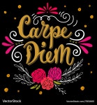 Carpe Diem Quote - Hand Lettered Latin – Royalty-Free Vector | VectorStock