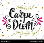 Carpe Diem Quote - Hand Lettered Latin – Royalty-Free Vector | VectorStock