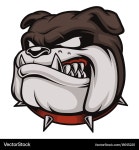 Angry Bulldog Head (18913225) – Royalty-Free Vector | VectorStock
