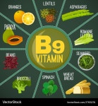 Vitamin B9 Rich Foods – Royalty-Free Vector | VectorStock