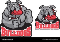 Bulldog Mascot Illustration Royalty Free Vector Image Bulldog Mascot Illustration Vector Image on VectorStock