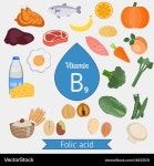 Vitamin b9 or folic acid infographic Royalty Free Vector Vitamin b9 or folic acid infographic Vector Image on VectorStock