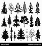Twenty Black Tree Silhouettes Royalty Free Vector Image Twenty Black Tree Silhouettes Vector Image on VectorStock