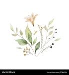 Watercolor Green Branch Arrangement Royalty Free Vector Watercolor Green Branch Arrangement vector image on VectorStock