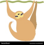 Adorable Sloth Hanging from a Branch – Royalty-Free Vector | VectorStock