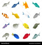 Isometric Fish Icon Set - Marine Life – Royalty-Free Vector | VectorStock