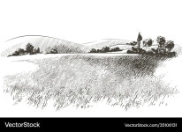 Green Grass Hillscape – Royalty-Free Vector | VectorStock