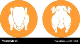 Chicken meat (51146262) – Royalty-Free Vector | VectorStock