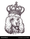 Royal Poodle Portrait with Crown – Royalty-Free Vector | VectorStock