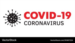 Coronavirus covid19-19 infographic Royalty Free Vector Image Coronavirus covid19-19 infographic vector image on VectorStock
