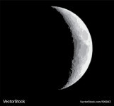 Lunar Phase - Half Moon – Royalty-Free Vector | VectorStock