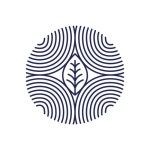 Stylized turkey silhouette graphic logo template Vector Image Stylized turkey silhouette graphic logo template vector image on... 