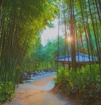 발견하는 여행 Stay & Explore> 여행기사 :대한민국 구석구석... 숨은 매력을 발견하는 여행 Stay & Explore> 여행기사 :대한민국 구석구석 