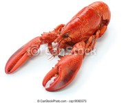 Boiled lobster isolated on white background. | CanStock